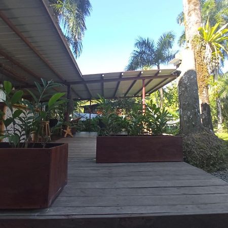 Bed and Breakfast La Luciernaga Big Creek Бокас-дель-Торо Экстерьер фото
