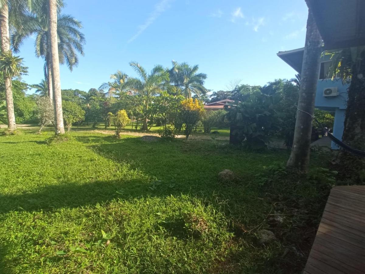 Bed and Breakfast La Luciernaga Big Creek Бокас-дель-Торо Экстерьер фото