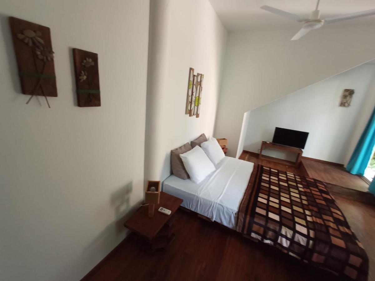 Bed and Breakfast La Luciernaga Big Creek Бокас-дель-Торо Экстерьер фото