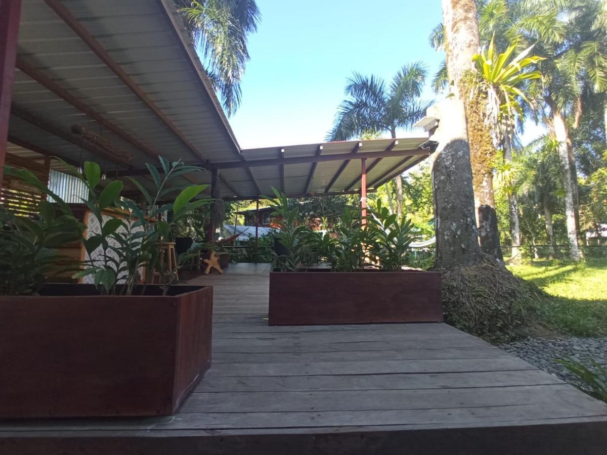 Bed and Breakfast La Luciernaga Big Creek Бокас-дель-Торо Экстерьер фото